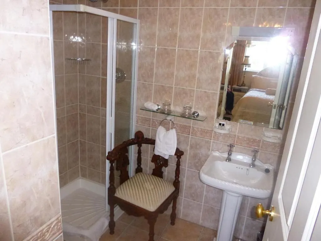 Gasthof The Blarney Stone Guesthouse Cork