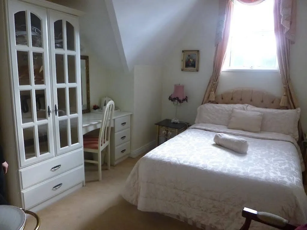 Gasthof The Blarney Stone Guesthouse Cork